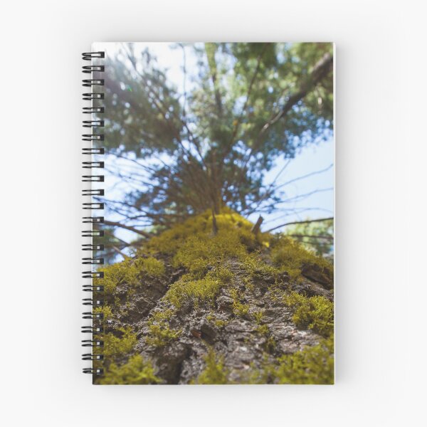 Item preview, Climacium Dendroides or Tree Moss designed and sold by chrismelinafrnk.