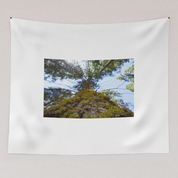 Item preview, Climacium Dendroides or Tree Moss designed and sold by chrismelinafrnk.