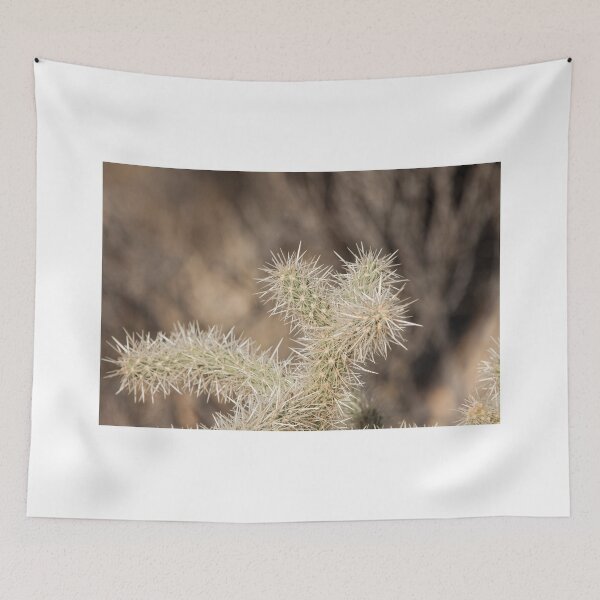 Item preview, Cylindropuntia Or Cholla Cactus  designed and sold by chrismelinafrnk.
