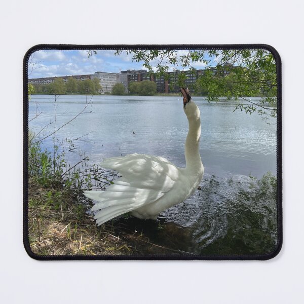 Item preview, Swan • Neck stretch • 2022 designed and sold by Mortinus.