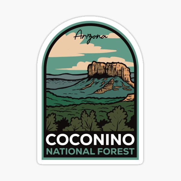 Item preview, Coconino National Forest Arizona Vintage designed and sold by halpindesignco.