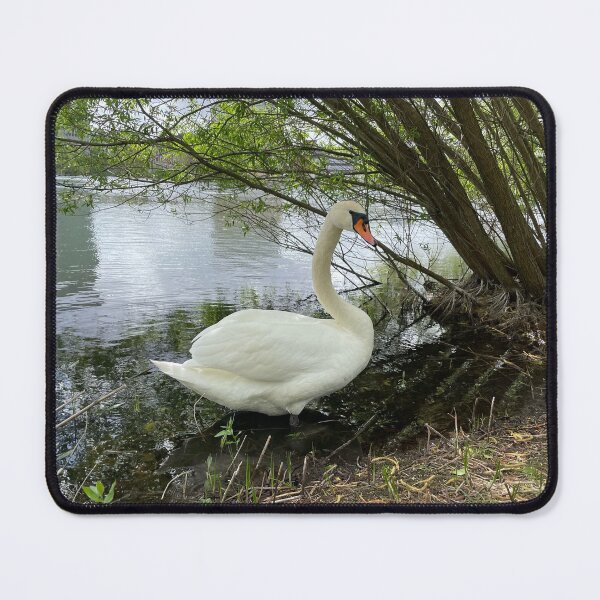 Item preview, Copenhagen Swan • 2022 designed and sold by Mortinus.