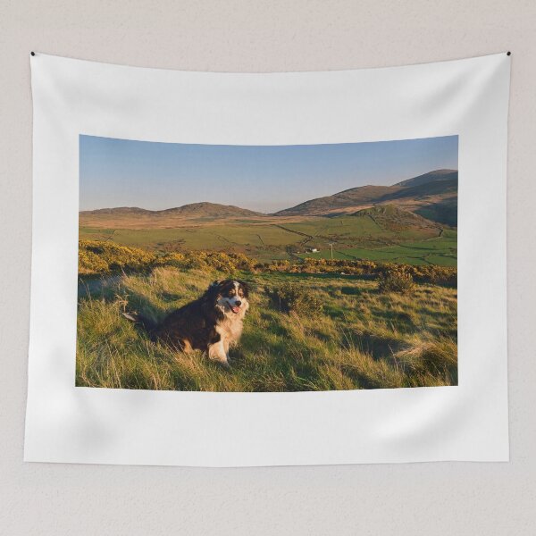 Item preview, Homeland designed and sold by Michael Haslam.