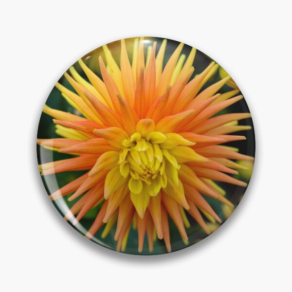 Item preview, Dahlia in Ireland designed and sold by nigellacottage.