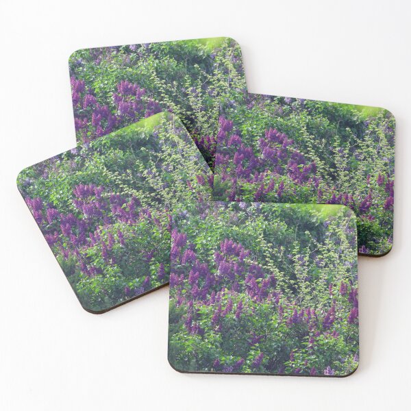 Item preview, Lilacs, Lilacs Everywhere designed and sold by PhotosBySusanne.
