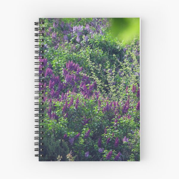 Item preview, Lilacs, Lilacs Everywhere designed and sold by PhotosBySusanne.