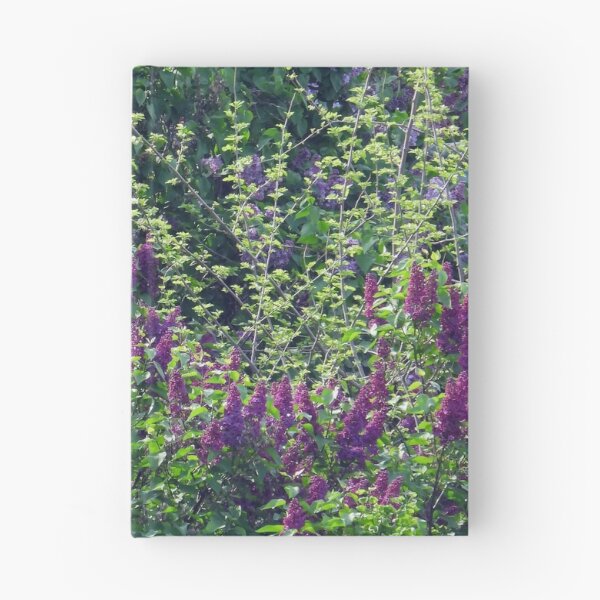 Item preview, Lilacs, Lilacs Everywhere designed and sold by PhotosBySusanne.
