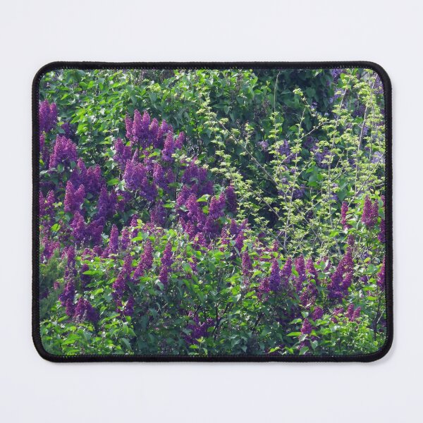 Item preview, Lilacs, Lilacs Everywhere designed and sold by PhotosBySusanne.