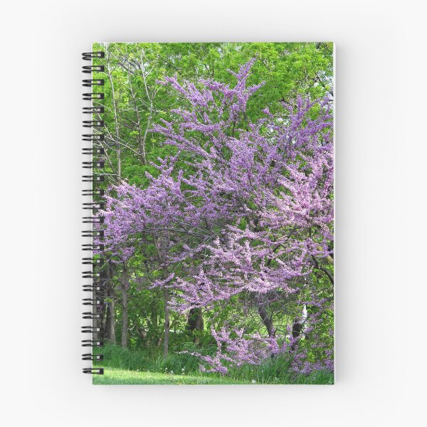 Item preview, Pink Eastern Redbud Trees designed and sold by PhotosBySusanne.