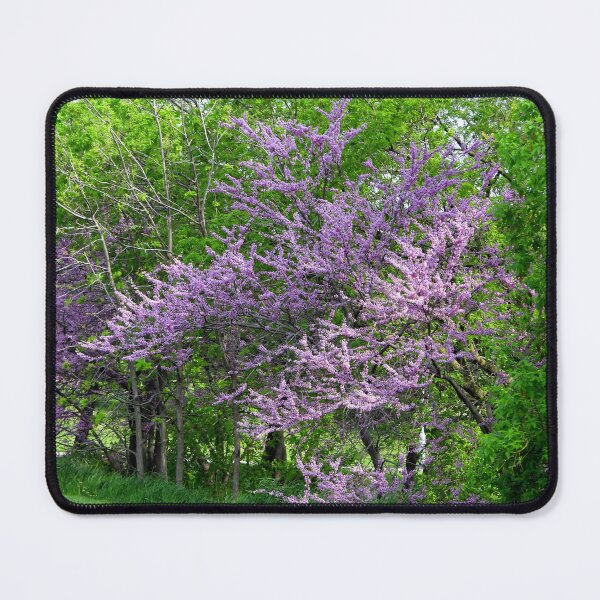 Item preview, Pink Eastern Redbud Trees designed and sold by PhotosBySusanne.