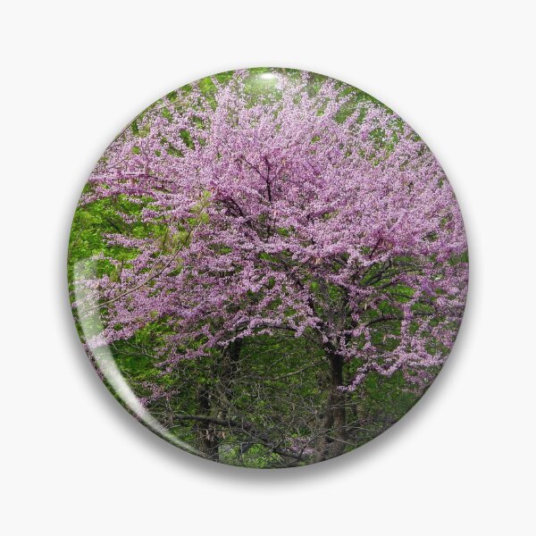 Artikelvorschau, Der östliche Redbud-Baum entworfen und verkauft von PhotosBySusanne.