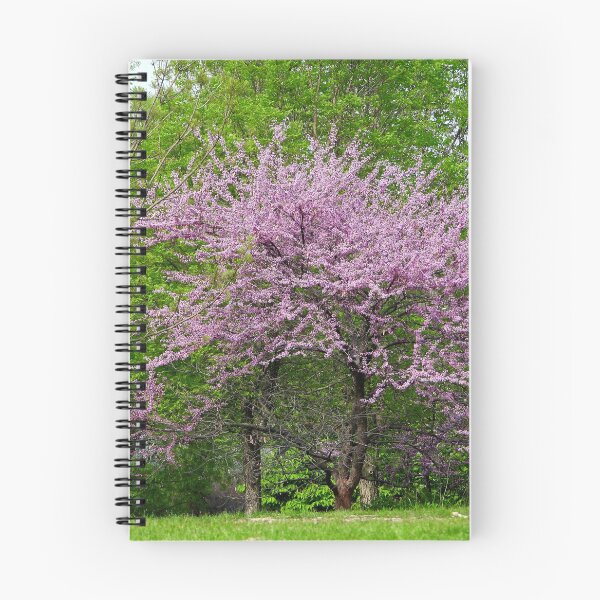 Item preview, The Eastern Redbud Tree designed and sold by PhotosBySusanne.