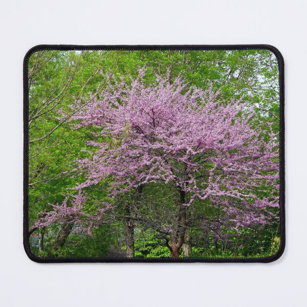 Item preview, The Eastern Redbud Tree designed and sold by PhotosBySusanne.