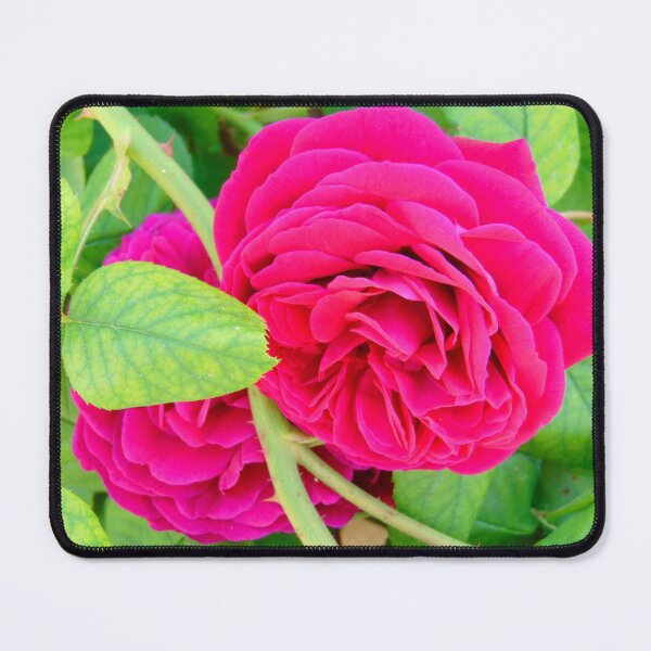 Item preview, Roses designed and sold by Frogmuse.