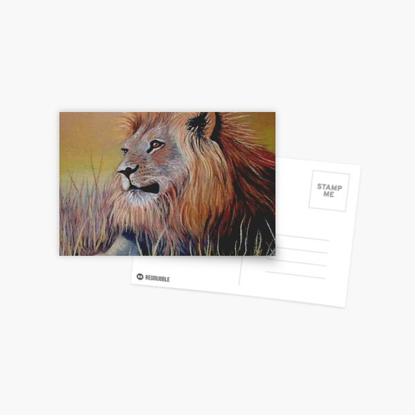 Lion Sitting in Grass Postcard