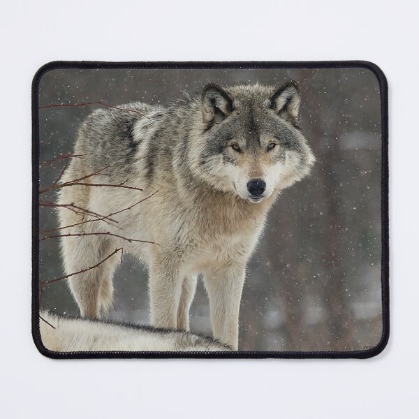 Item preview, Dominant Wolf designed and sold by Yannik Hay.