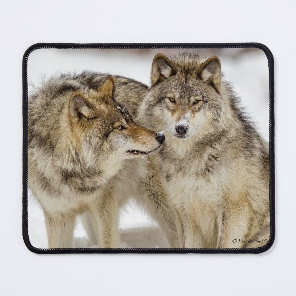 Item preview, Love you sweetie... - Timber Wolves designed and sold by Yannik Hay.