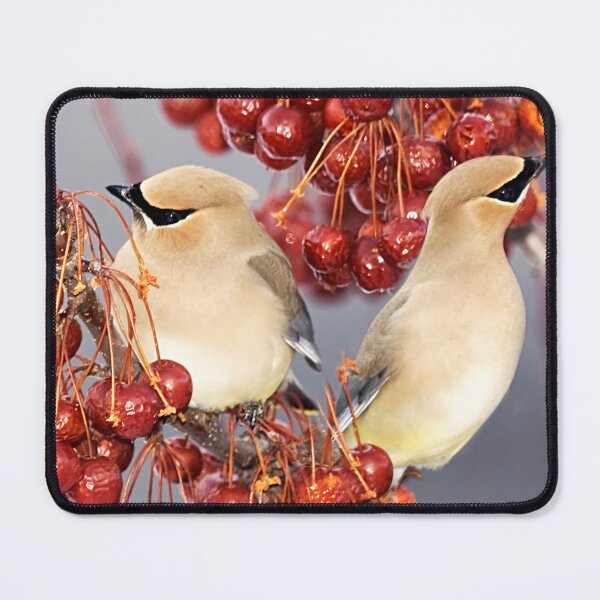 Item preview, Feathers and Cherries designed and sold by Yannik Hay.
