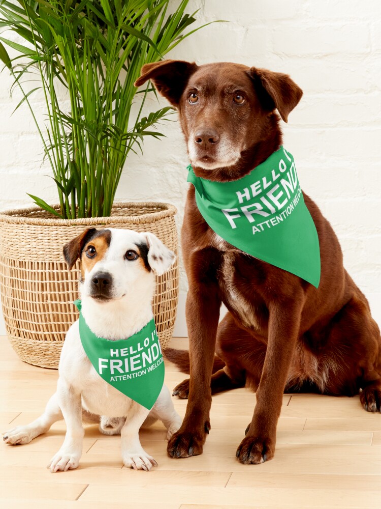 Alternate view of Hello I'm Friendly Dog Color-Coded Green Dog/Cat/Pet Bandana Scarf Pet Bandana
