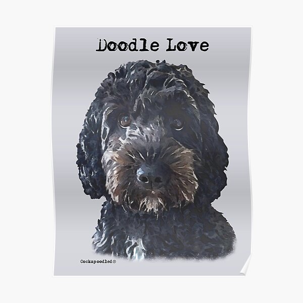 Black Doodle Dog Poster