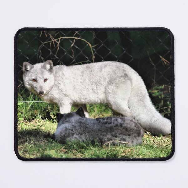 Item preview, Arctic Fox Majesty designed and sold by Fearless-Fox.