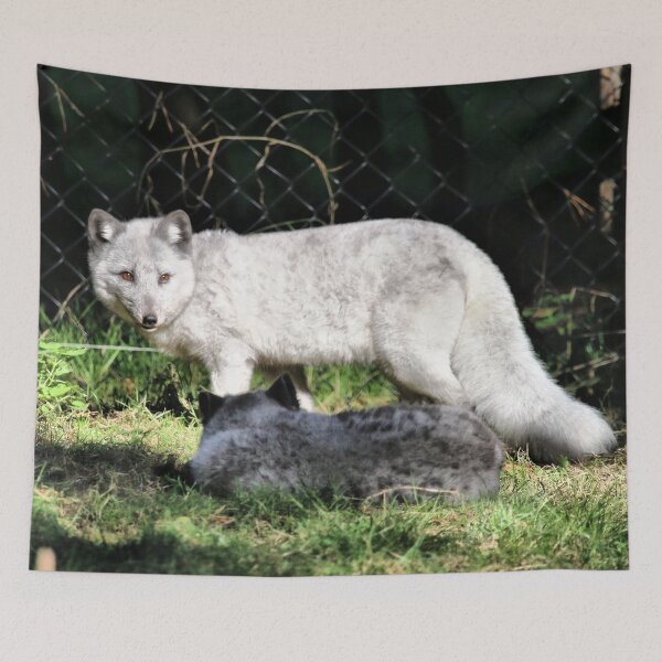 Item preview, Arctic Fox Majesty designed and sold by Fearless-Fox.