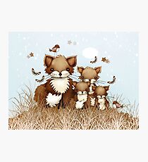 Little Foxes Photographic Print