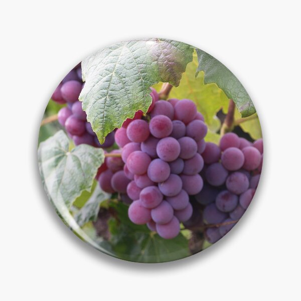 Item preview, Ripe grapes designed and sold by marygov.