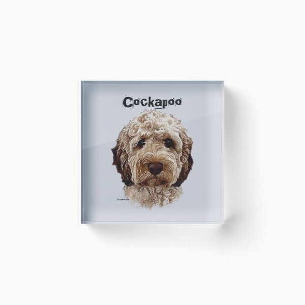 Item preview, Brown and White Cockapoo Dog  designed and sold by Happy Dog Doodles.