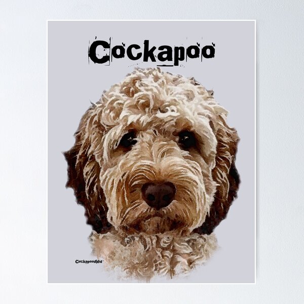 Item preview, Brown and White Cockapoo Dog  designed and sold by Happy Dog Doodles.