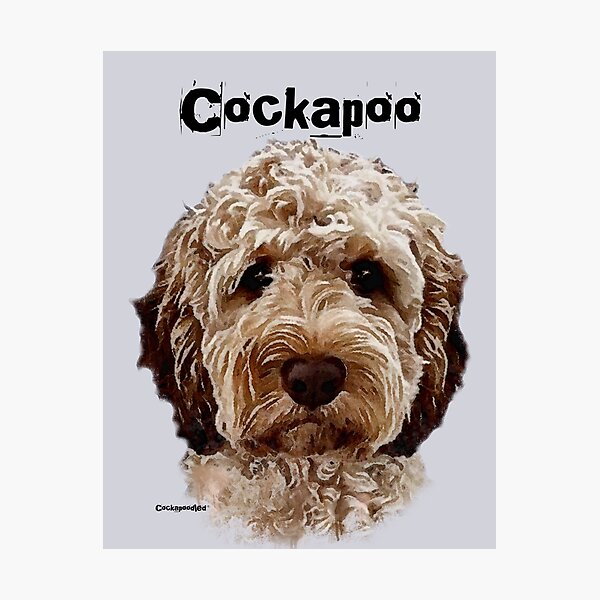 Item preview, Brown and White Cockapoo Dog  designed and sold by Happy Dog Doodles.