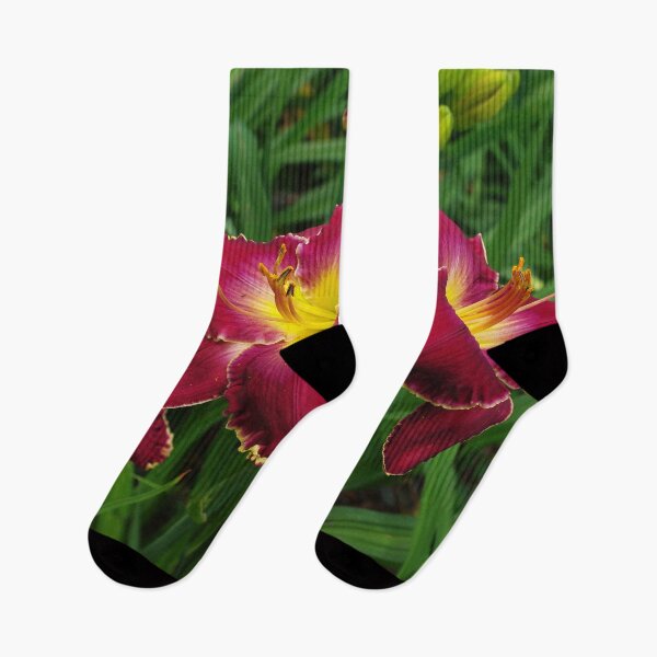 Item preview, Rich red daylilies designed and sold by rvjames.