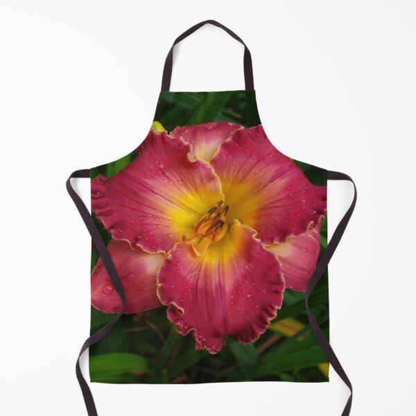 Item preview, Sis Boom Bah daylily!  A vibrant world of rose and gold designed and sold by rvjames.