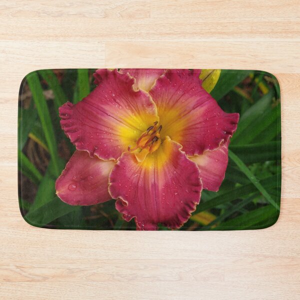 Item preview, Sis Boom Bah daylily!  A vibrant world of rose and gold designed and sold by rvjames.