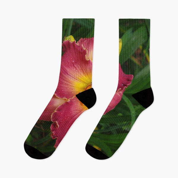 Item preview, Sis Boom Bah daylily!  A vibrant world of rose and gold designed and sold by rvjames.