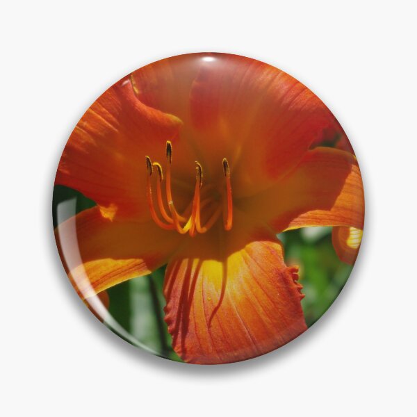 Item preview, Fiery Daylily Flower - Hemerocallis 'Coleman Hawkins' designed and sold by rvjames.