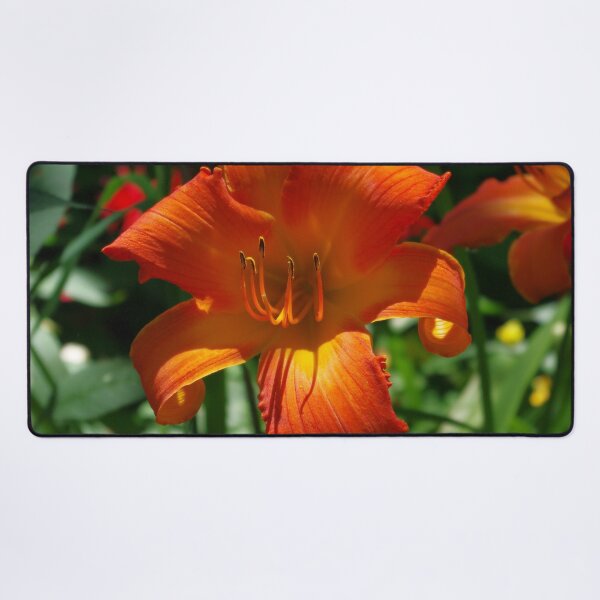 Item preview, Fiery Daylily Flower - Hemerocallis 'Coleman Hawkins' designed and sold by rvjames.