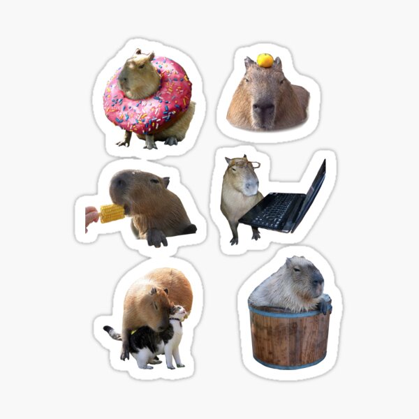 6 nice Capybara stickers Sticker