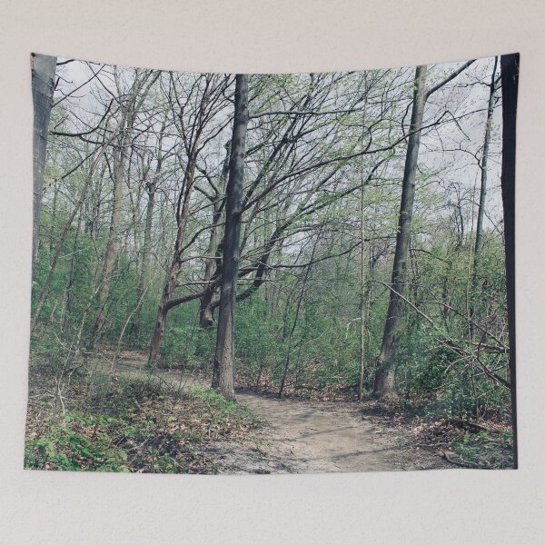 Item preview, Spring Forest Walk designed and sold by RoseyElisabeth.
