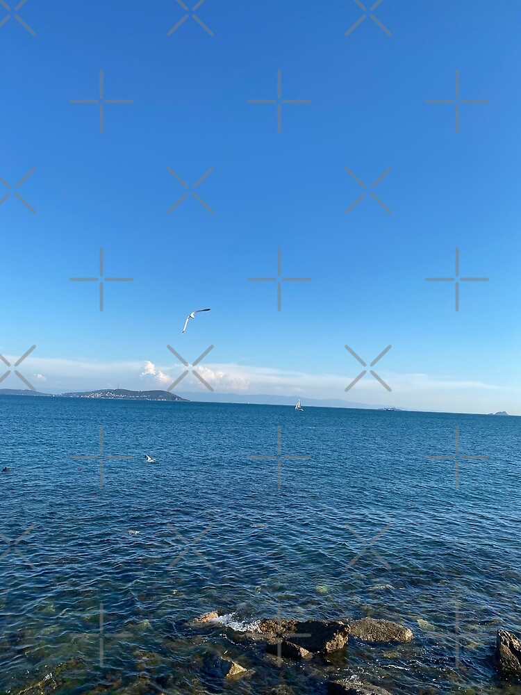 "Sea birds island" Poster for Sale by boomantique Redbubble