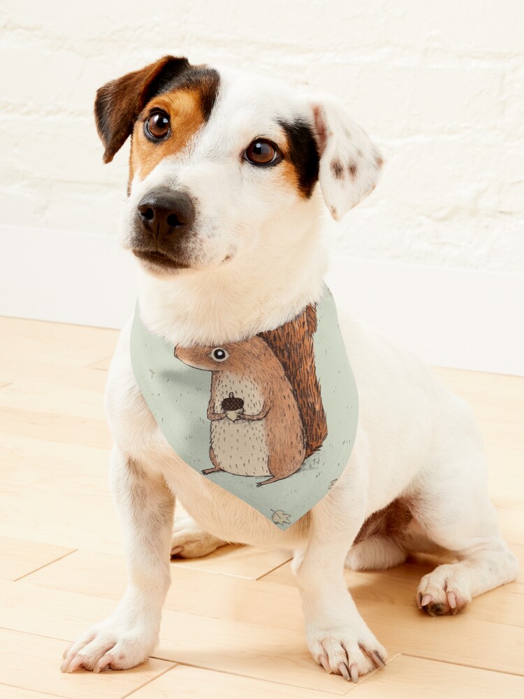Thumbnail 1 of 6, Pet Bandana, Sarah the Squirrel designed and sold by Sophie Corrigan.