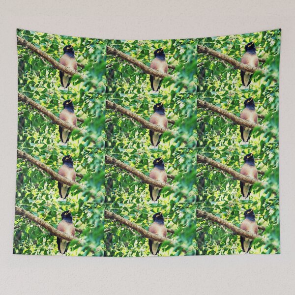 Item preview, Noisy Miner - Bad Hair Day  designed and sold by Evita.