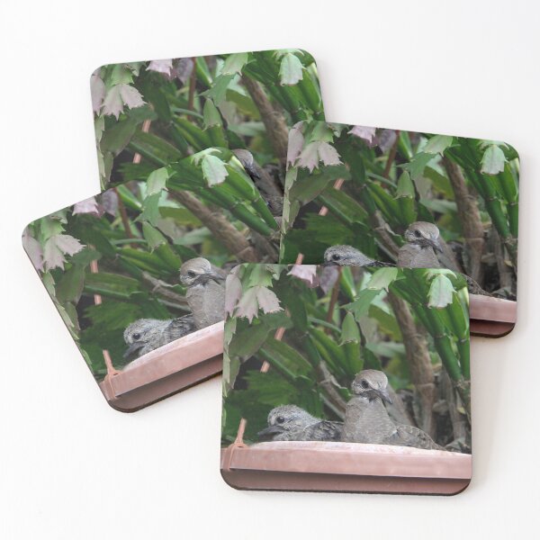 Item preview, I Think It is Time To Head Out of this Nest designed and sold by heatherfriedman.