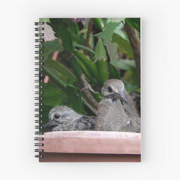Item preview, I Think It is Time To Head Out of this Nest designed and sold by heatherfriedman.