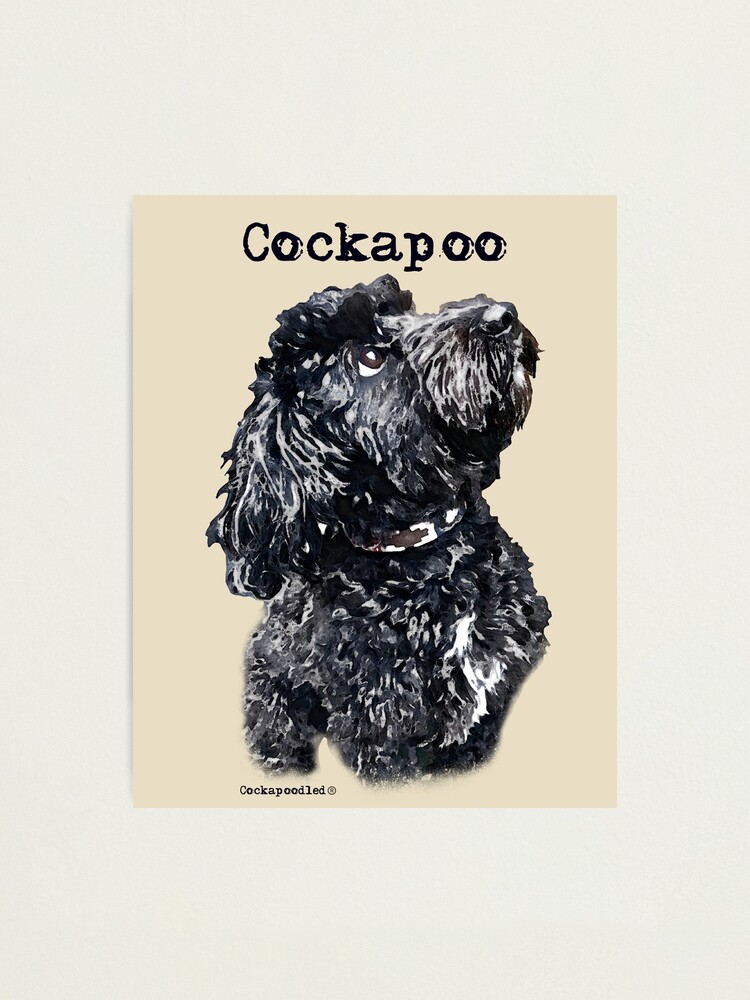 Black cockapoo outlet gifts