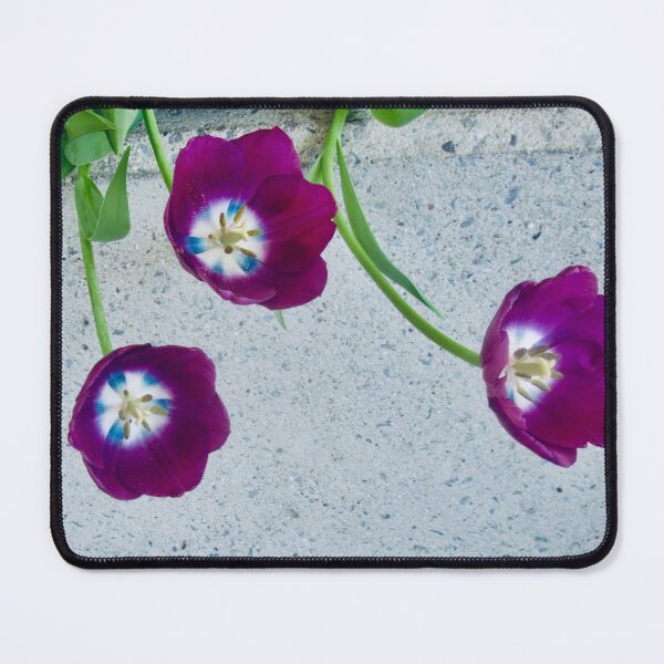 Item preview, Blown over tulips designed and sold by Shulie1.