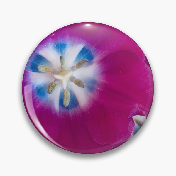 Item preview, Flattened tulips designed and sold by Shulie1.