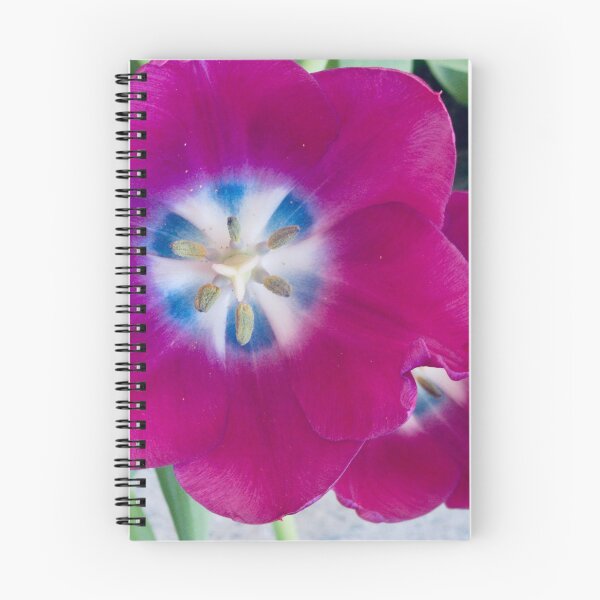 Item preview, Flattened tulips designed and sold by Shulie1.