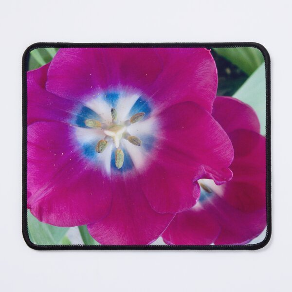 Item preview, Flattened tulips designed and sold by Shulie1.