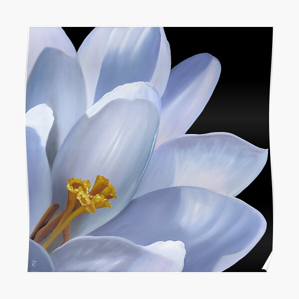 Moon Flower Poster